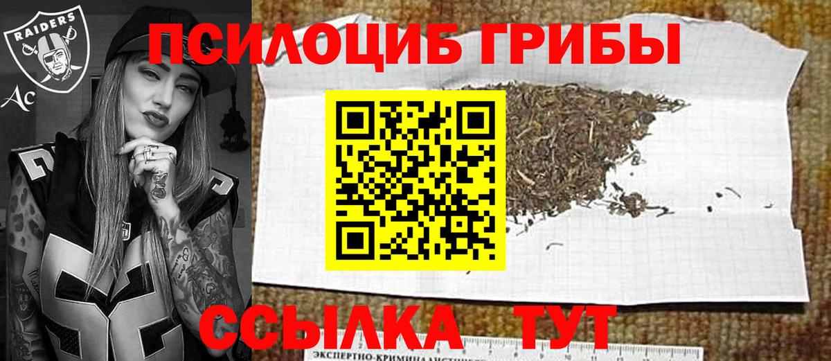 Кисловодск  Галлюциногенные грибы Psilocybine cubensis  Вход с VPN  Псилоцибиновые грибы Psilocybine cubensis 
